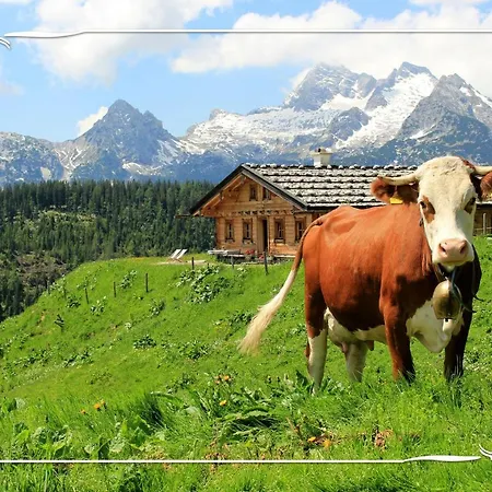 Haus Bartlmae Apartman Lofer